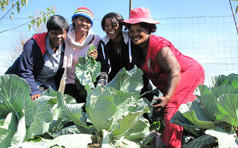 Mpophomeni Conservancy. Conservation is also about being able to grow nutritious, wholesome food from healthy soil