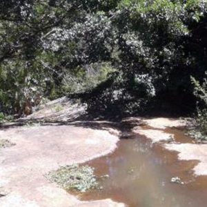 Madwala Nature Reserve Restoration