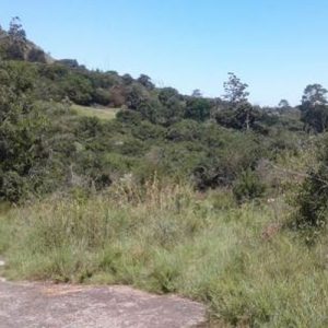 Madwala Nature Reserve Restoration