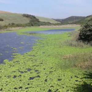 Mahlongwana River rehabilitation