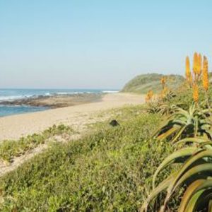 Dune Restoration Project