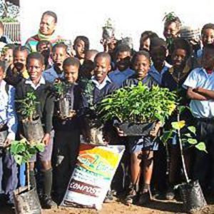 Sithandimvelo Environmental Education Project