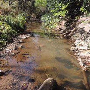 Dorpspruit river pollution
